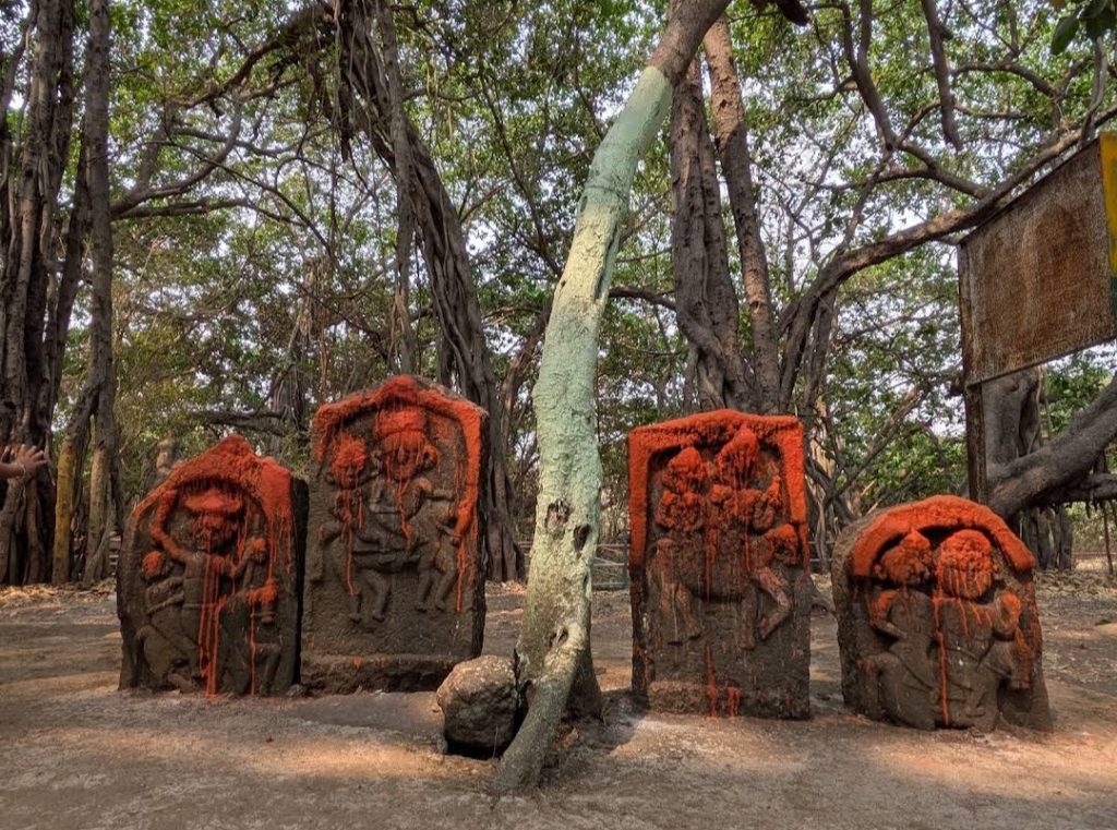 "Small shrine and hero stones beneath the Pemgiri Banyan Tree Sangamner"